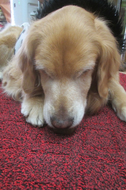 ファイル 3442-5.jpg