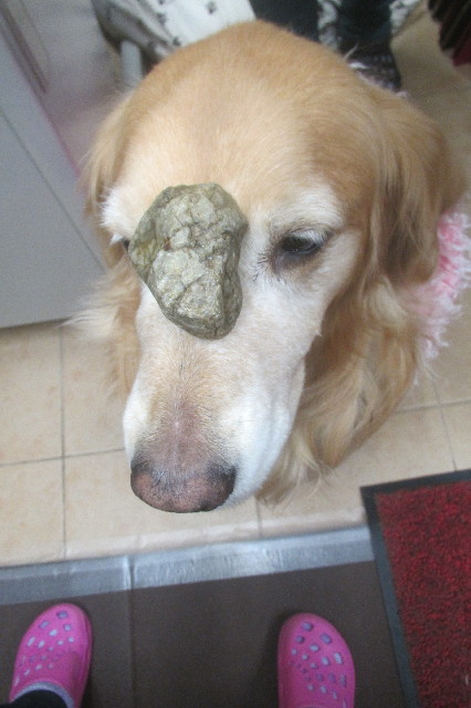 ファイル 3443-3.jpg