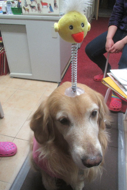 ファイル 3443-5.jpg