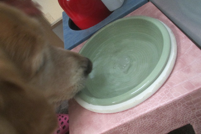 ファイル 3444-3.jpg