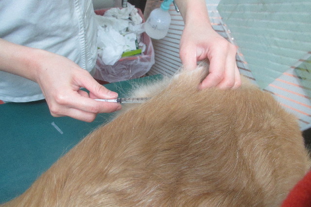 ファイル 3445-2.jpg