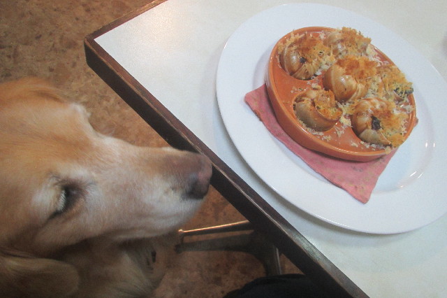 ファイル 3446-1.jpg