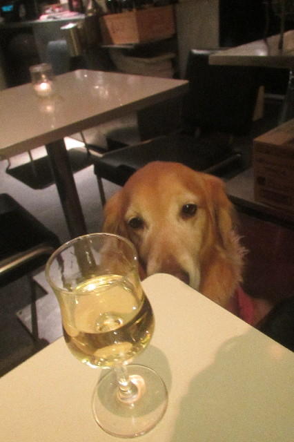 ファイル 3446-2.jpg