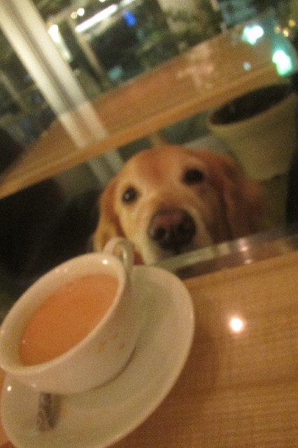 ファイル 3446-3.jpg