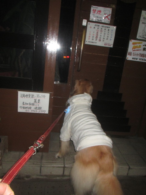 ファイル 3446-5.jpg