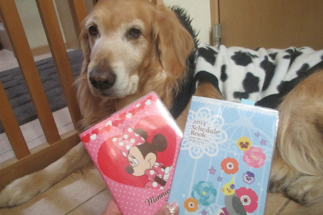 ファイル 3447-1.jpg