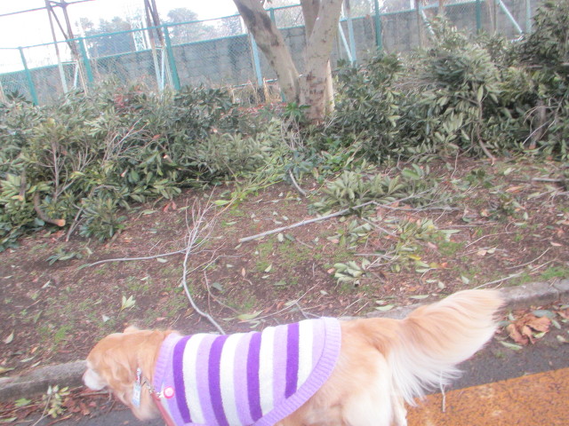 ファイル 3448-3.jpg