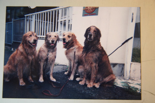 ファイル 3450-2.jpg