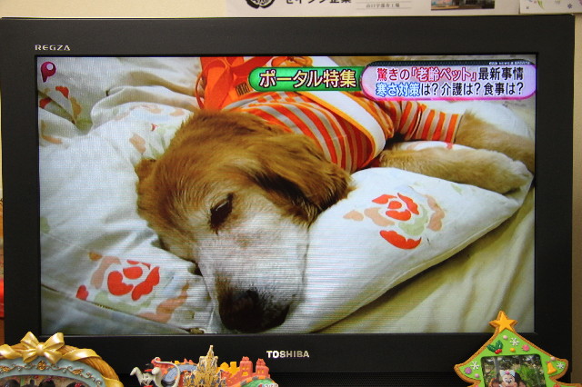 ファイル 3452-2.jpg