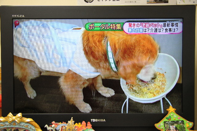 ファイル 3452-3.jpg