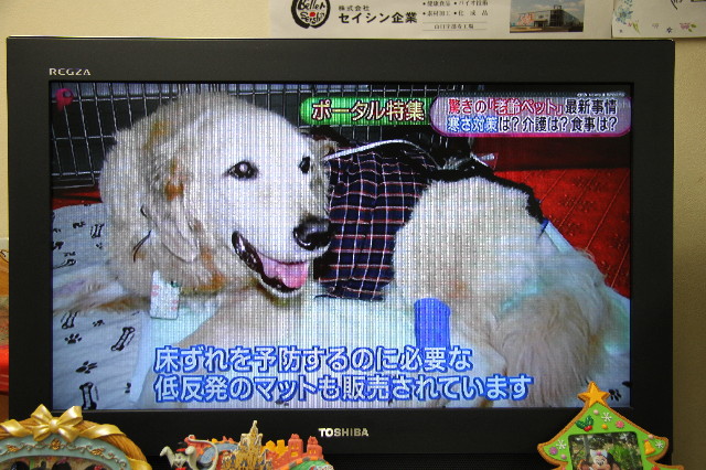 ファイル 3452-4.jpg