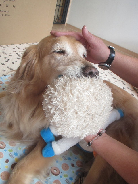 ファイル 3453-5.jpg