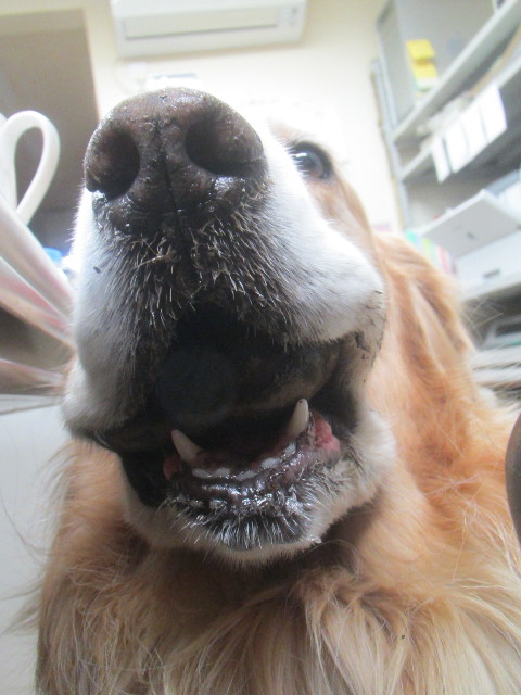 ファイル 3454-2.jpg