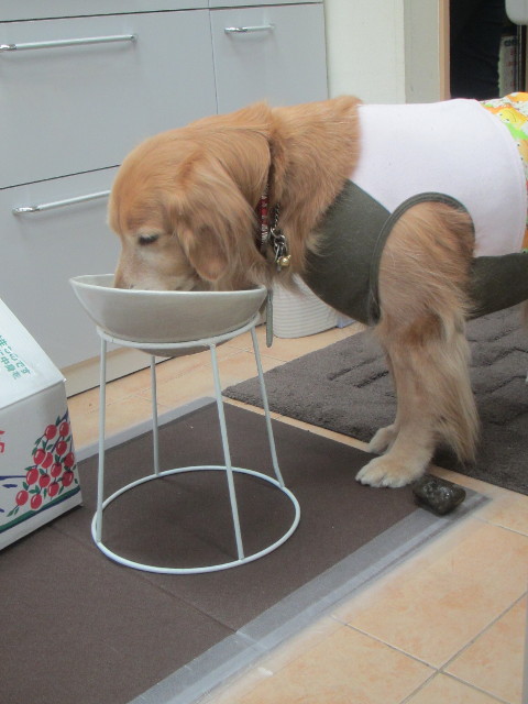 ファイル 3454-3.jpg