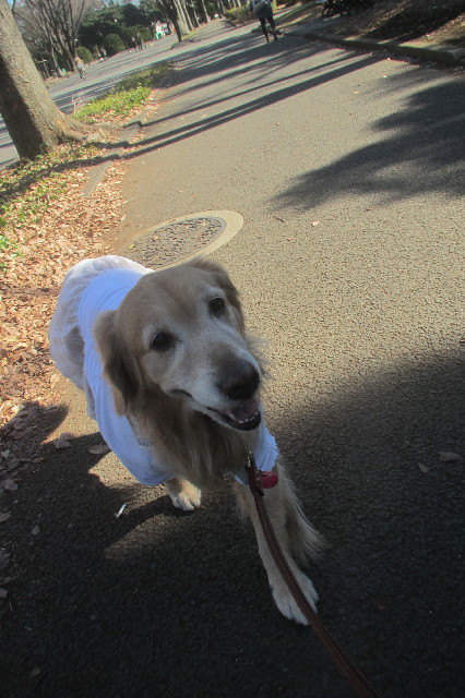 ファイル 3455-1.jpg