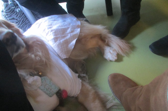 ファイル 3455-2.jpg