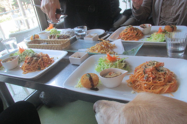 ファイル 3455-3.jpg