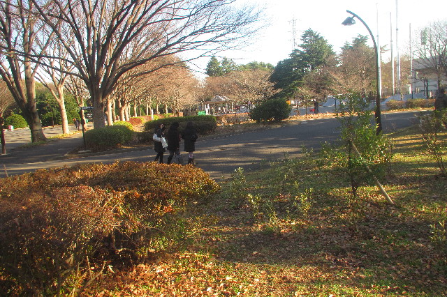 ファイル 3455-5.jpg