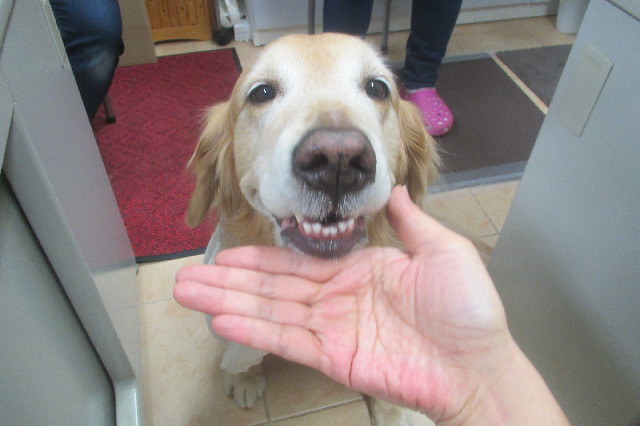 ファイル 3457-3.jpg