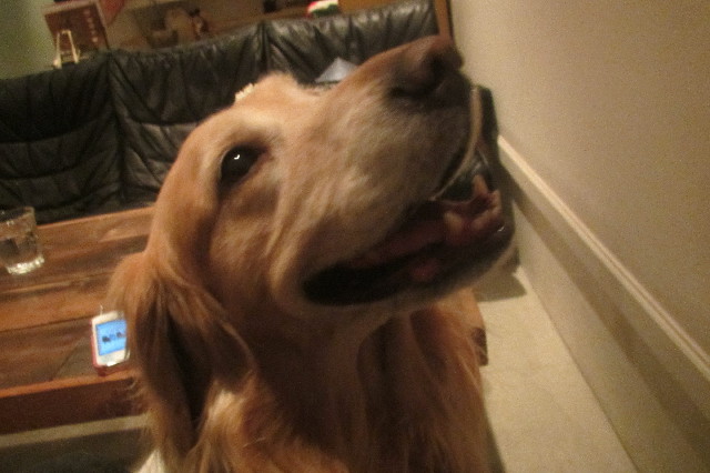 ファイル 3457-5.jpg