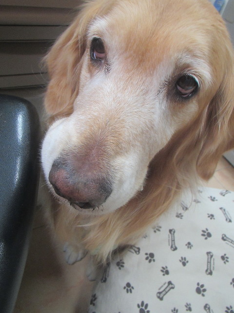 ファイル 3458-1.jpg