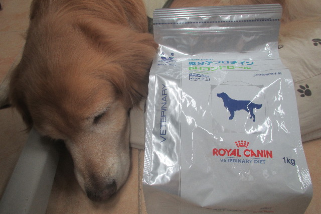 ファイル 3458-2.jpg