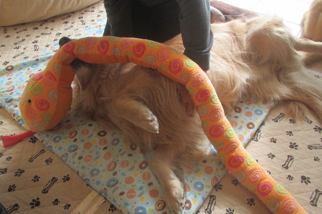 ファイル 3458-4.jpg