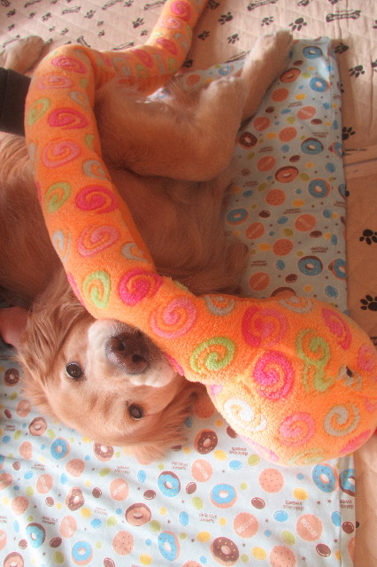 ファイル 3458-5.jpg