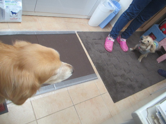 ファイル 3459-3.jpg