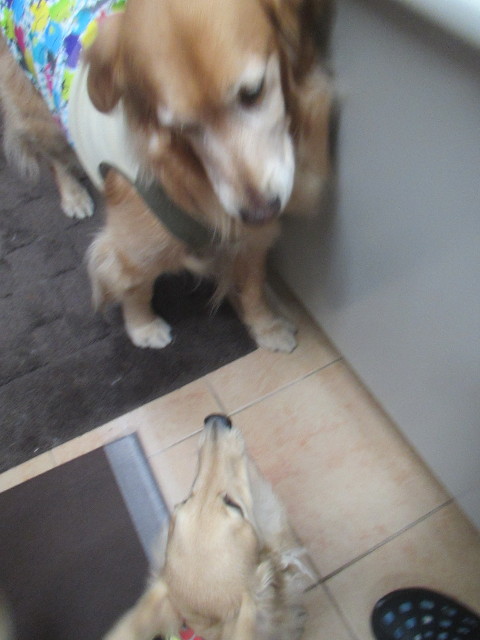 ファイル 3459-4.jpg