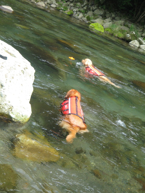 ファイル 346-1.jpg