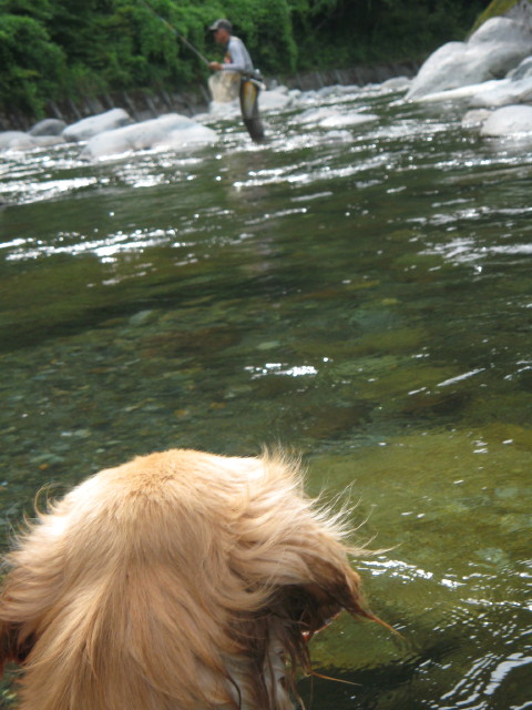 ファイル 346-2.jpg