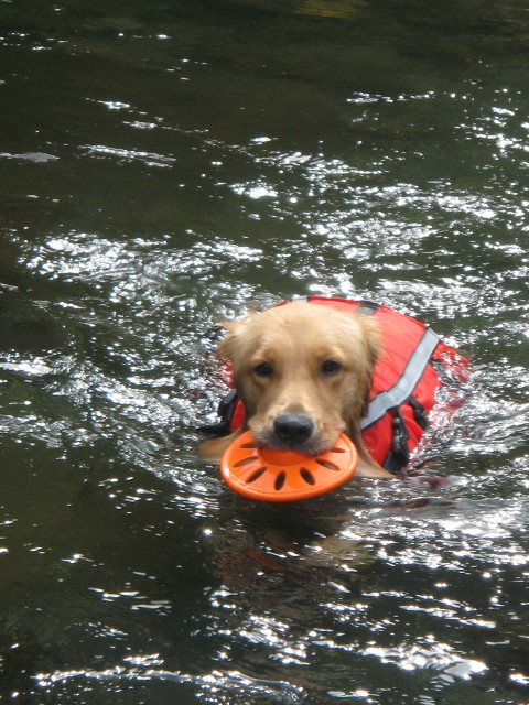 ファイル 346-4.jpg