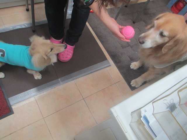 ファイル 3461-2.jpg