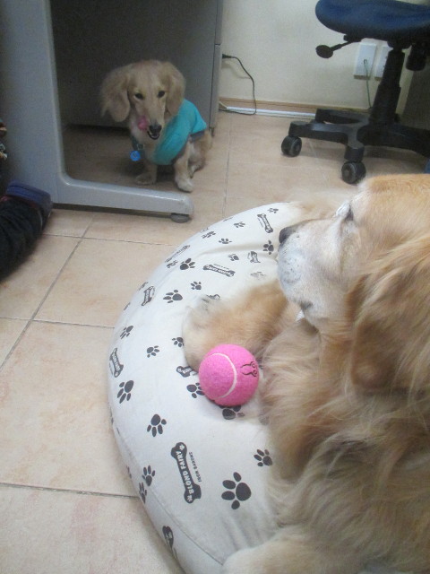 ファイル 3461-4.jpg