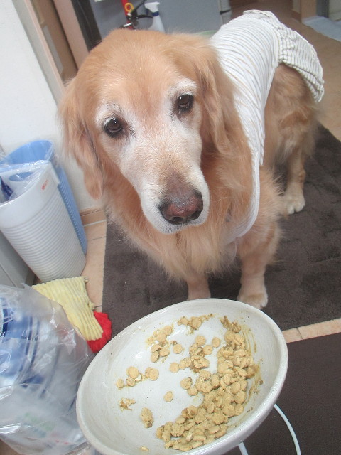 ファイル 3461-5.jpg