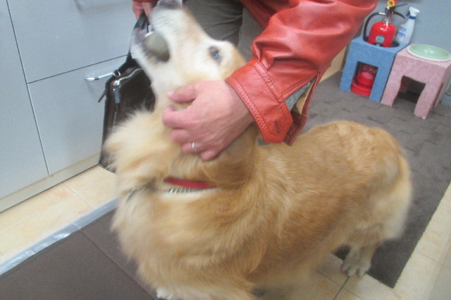 ファイル 3464-1.jpg