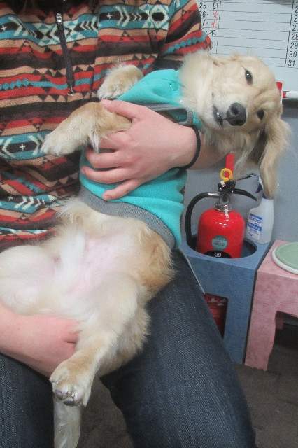 ファイル 3464-5.jpg