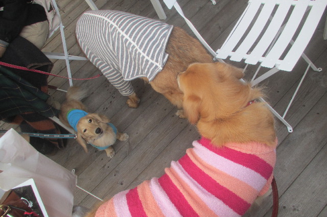 ファイル 3466-1.jpg