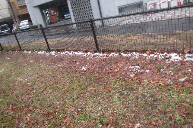 ファイル 3467-2.jpg