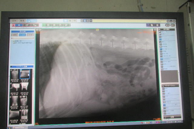 ファイル 3468-4.jpg