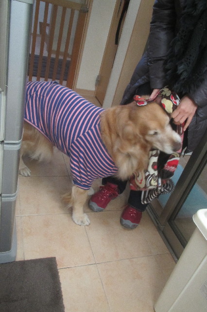 ファイル 3469-1.jpg