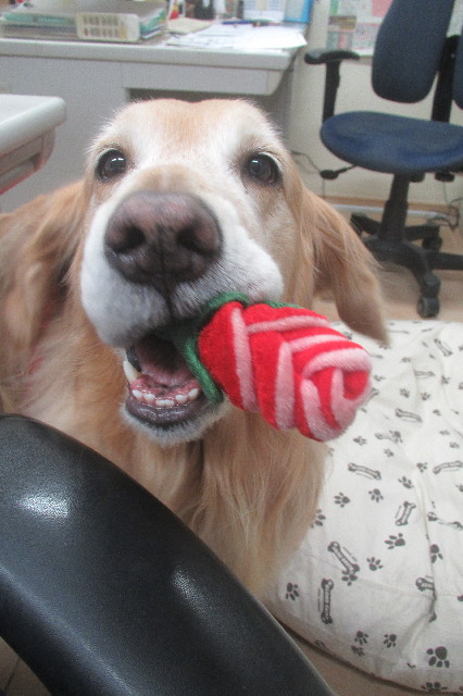 ファイル 3469-3.jpg