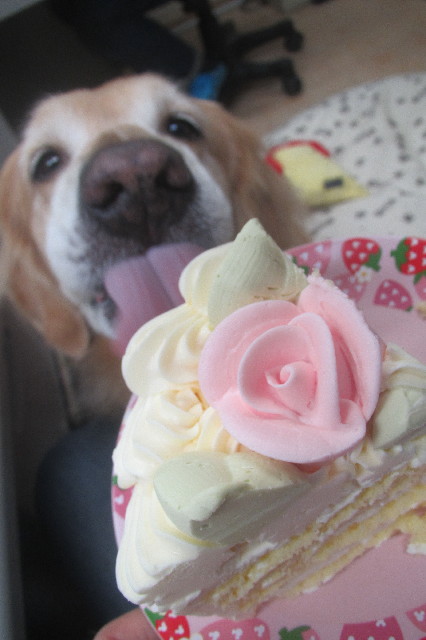 ファイル 3469-5.jpg