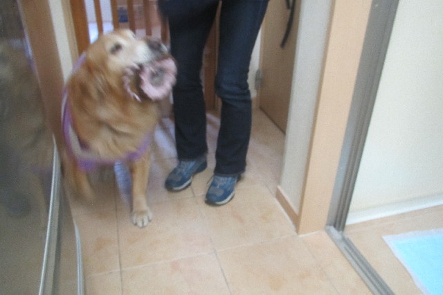 ファイル 3470-4.jpg