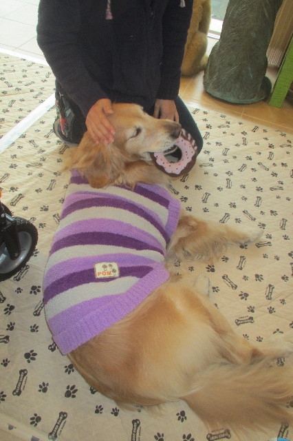 ファイル 3470-5.jpg