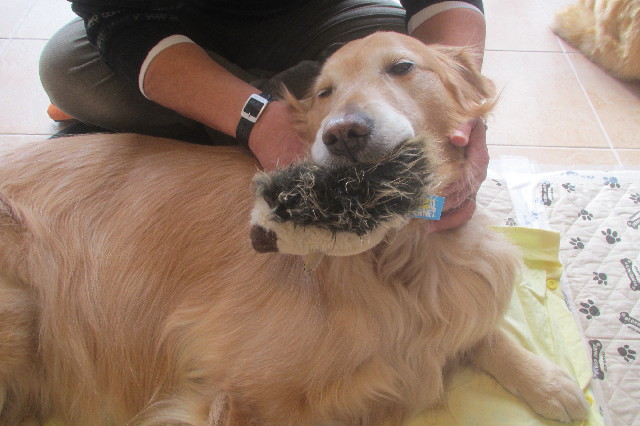 ファイル 3471-1.jpg