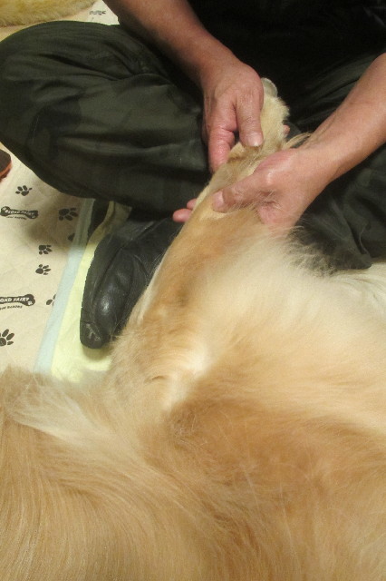 ファイル 3471-2.jpg