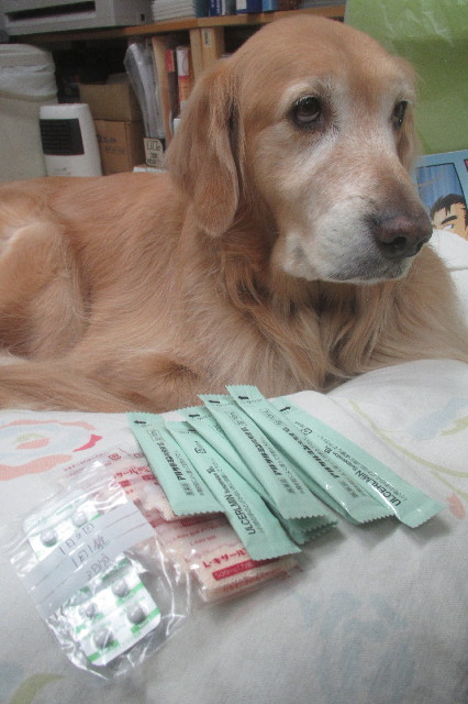 ファイル 3471-5.jpg