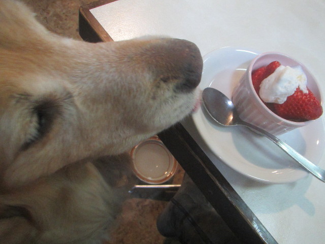 ファイル 3473-5.jpg